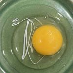 I Thought the White String in My Egg Was Something Dangerous—The Truth Completely Surprised Me