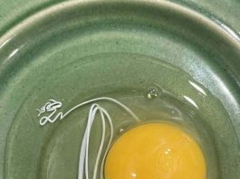 I Thought the White String in My Egg Was Something Dangerous—The Truth Completely Surprised Me