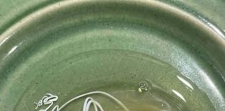 I Thought the White String in My Egg Was Something Dangerous—The Truth Completely Surprised Me