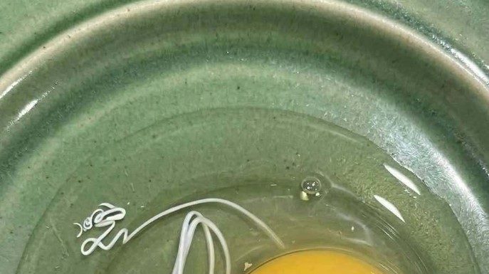 I Thought the White String in My Egg Was Something Dangerous—The Truth Completely Surprised Me