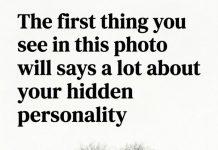 The first thing you see in this photo will says a lot about your hidden personality. What did you see FIRST?