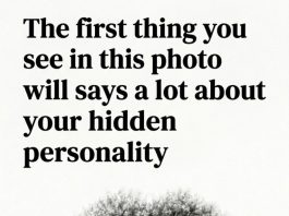 The first thing you see in this photo will says a lot about your hidden personality. What did you see FIRST?