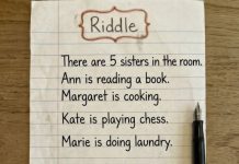 Only Geniuses Spot What the Fifth Sister Is Doing