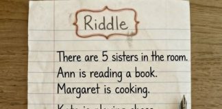 Only Geniuses Spot What the Fifth Sister Is Doing