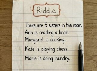 Only Geniuses Spot What the Fifth Sister Is Doing
