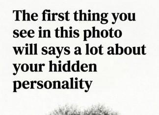 The first thing you see in this photo will says a lot about your hidden personality. What did you see FIRST?