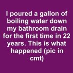 I poured a gallon of boiling water down my bathroom drain for the first time in 22 years. This is what happened