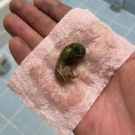 A Mysterious Discovery on Our Bathroom Floor Left Us Searching for Answers