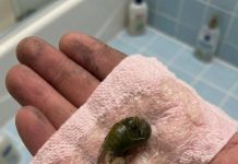 A Mysterious Discovery on Our Bathroom Floor Left Us Searching for Answers