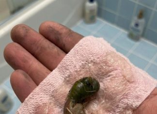 A Mysterious Discovery on Our Bathroom Floor Left Us Searching for Answers