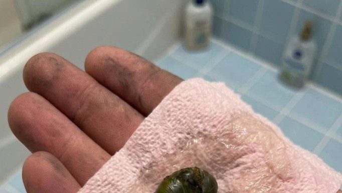 A Mysterious Discovery on Our Bathroom Floor Left Us Searching for Answers
