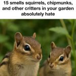 15 smells squirrels, chipmunks, and other critters in your garden absolutely hate