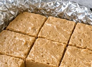 My brother makes this every summer weekend and it disappears in seconds. Only 3 ingredients for the ultimate creamy caffeinated bite.