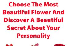 Choose The Most Beautiful Flower And Discover A Beautiful Secret.