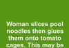 Woman slices pool noodles then glues them onto tomato cages. This may be the smartest fall hack yet.
