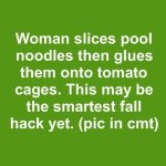 Woman slices pool noodles then glues them onto tomato cages. This may be the smartest fall hack yet.