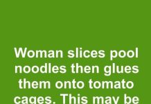 Woman slices pool noodles then glues them onto tomato cages. This may be the smartest fall hack yet.