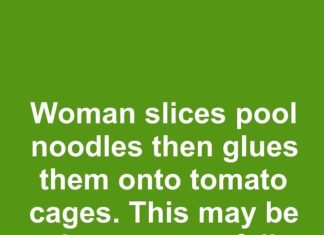 Woman slices pool noodles then glues them onto tomato cages. This may be the smartest fall hack yet.