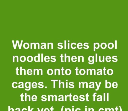 Woman slices pool noodles then glues them onto tomato cages. This may be the smartest fall hack yet.