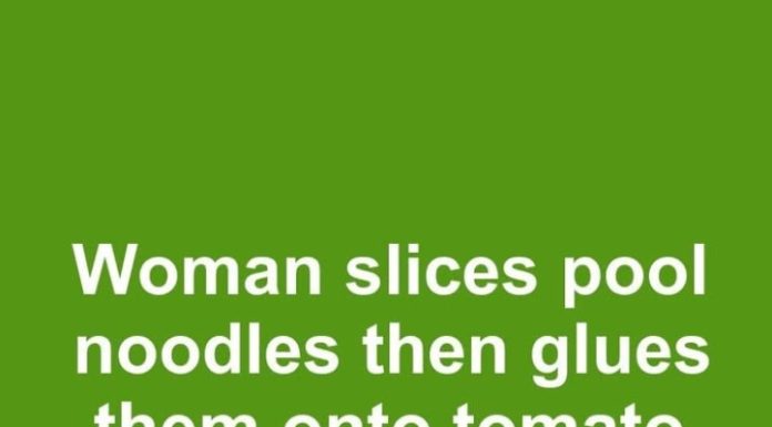 Woman slices pool noodles then glues them onto tomato cages. This may be the smartest fall hack yet.