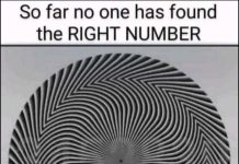 Find The Hidden Numbers