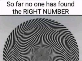 Find The Hidden Numbers