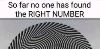 Find The Hidden Numbers