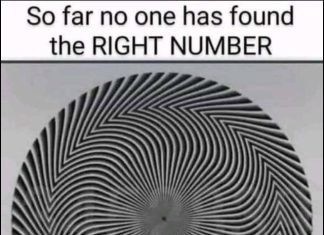 Find The Hidden Numbers