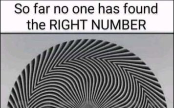 Find The Hidden Numbers