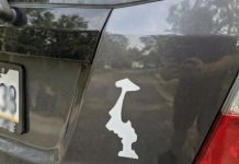 Why Drivers Display This Upside-Down Sticker on Their Cars