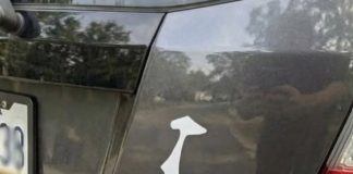 Why Drivers Display This Upside-Down Sticker on Their Cars