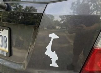 Why Drivers Display This Upside-Down Sticker on Their Cars