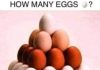 How many eggs can you see in the picture?