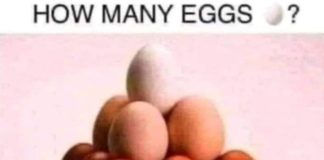 How many eggs can you see in the picture?