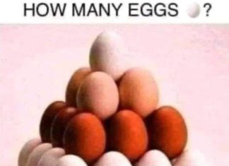 How many eggs can you see in the picture?