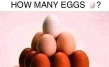 How many eggs can you see in the picture?