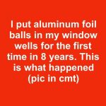 I put aluminum foil balls in my window wells for the first time in 8 years. This is what happened