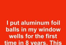 I put aluminum foil balls in my window wells for the first time in 8 years. This is what happened