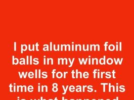 I put aluminum foil balls in my window wells for the first time in 8 years. This is what happened