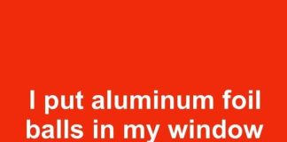 I put aluminum foil balls in my window wells for the first time in 8 years. This is what happened