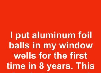 I put aluminum foil balls in my window wells for the first time in 8 years. This is what happened
