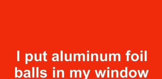 I put aluminum foil balls in my window wells for the first time in 8 years. This is what happened