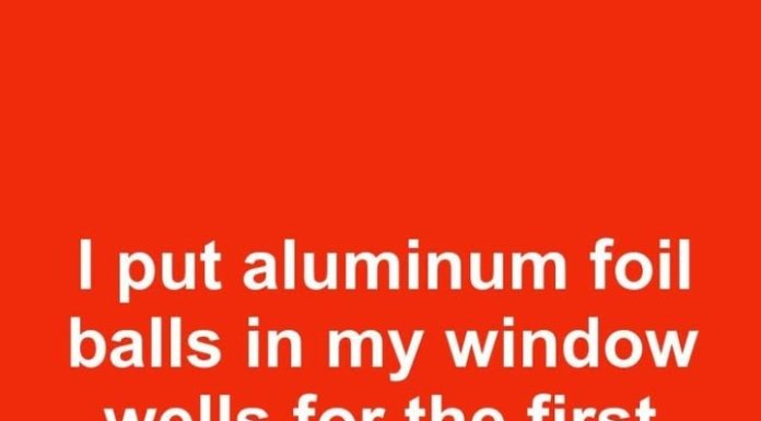 I put aluminum foil balls in my window wells for the first time in 8 years. This is what happened