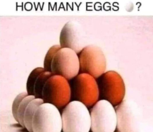 How many eggs can you see in the picture?