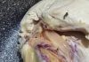 Green Meat in Chicken? Here’s What’s Really Going On