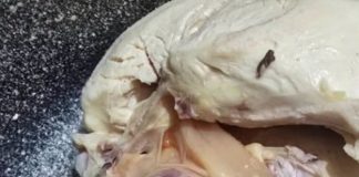 Green Meat in Chicken? Here’s What’s Really Going On