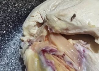 Green Meat in Chicken? Here’s What’s Really Going On