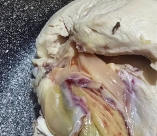 Green Meat in Chicken? Here’s What’s Really Going On