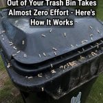 How to Stop Maggots From Taking Over Your Trash Bin