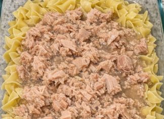 Dump undrained canned tuna and raw uncooked egg noodles in the glass casserole dish and 2 other simple ingredients to bake up a dinner so incredibly delicious your entire family will be begging for